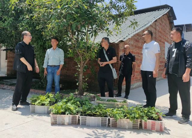 内江威远无花果研究所专家工作站助力农村面貌改善 乡村振公司动
